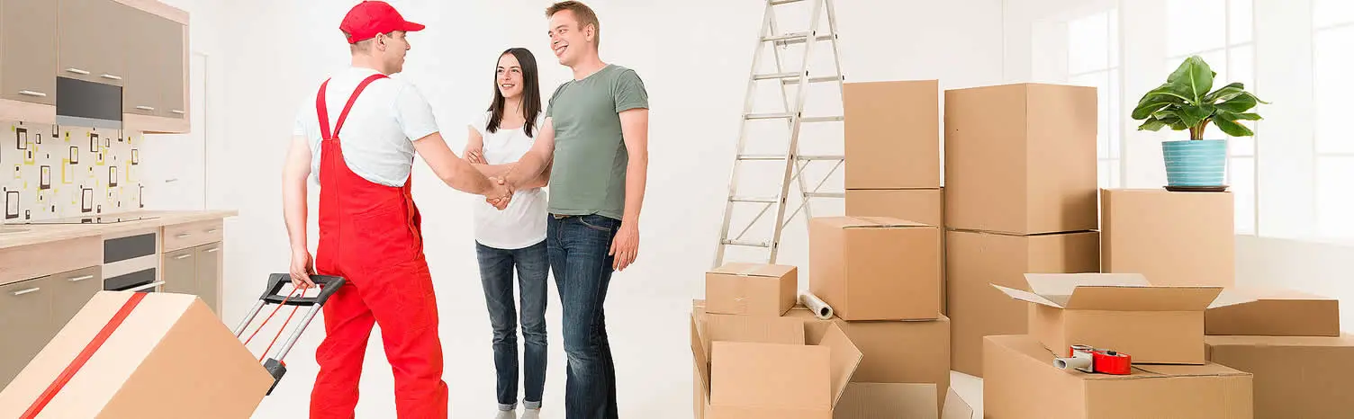 Düzce Kurumsal Taşıma