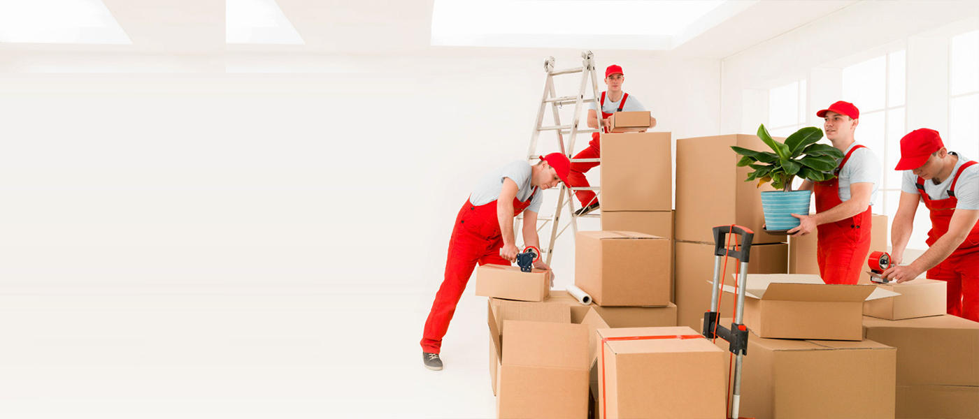 Düzce Evden Eve Nakliyat